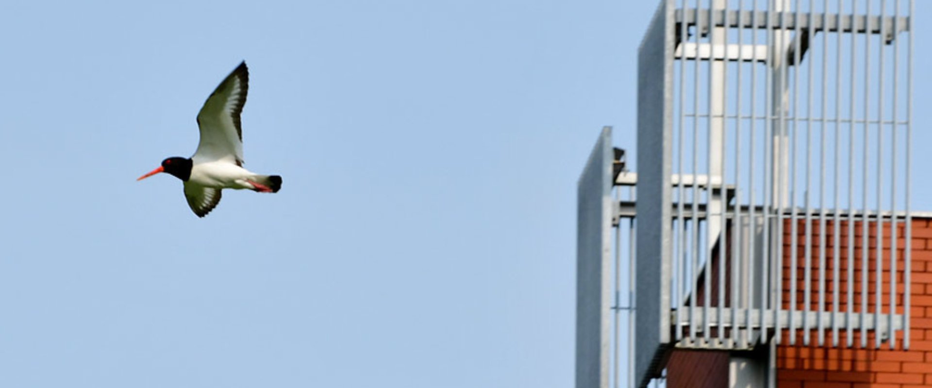Vogel PC toren